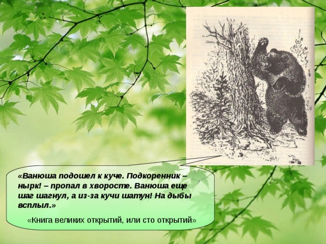 «Ванюша подошел к куче. Подкоренник – нырк! – пропал в хворосте. Ванюша еще шаг шагнул, а из-за кучи шатун! На дыбы всплыл.»  «Книга великих открытий, или сто открытий»