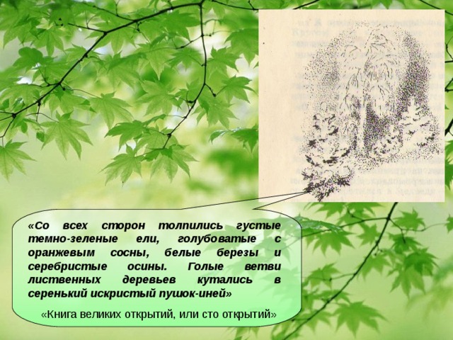 «Со всех сторон толпились густые темно-зеленые ели, голубоватые с оранжевым сосны, белые березы и серебристые осины. Голые ветви лиственных деревьев кутались в серенький искристый пушок-иней»  «Книга великих открытий, или сто открытий»