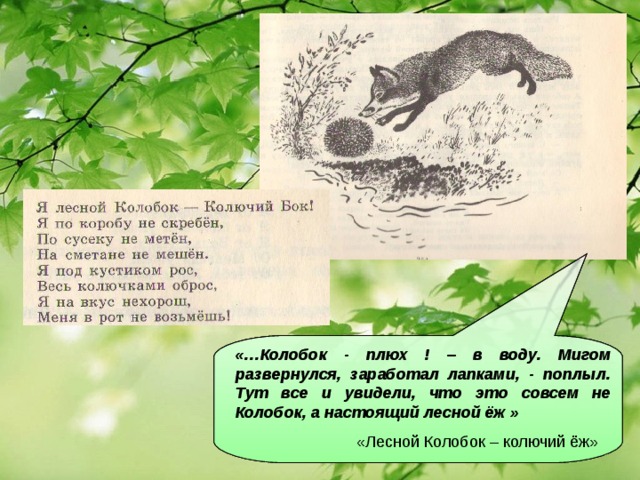 «…Колобок - плюх ! – в воду. Мигом развернулся, заработал лапками, - поплыл. Тут все и увидели, что это совсем не Колобок, а настоящий лесной ёж »  «Лесной Колобок – колючий ёж» «…Колобок - плюх ! – в воду. Мигом развернулся, заработал лапками, - поплыл. Тут все и увидели, что это совсем не Колобок, а настоящий лесной ёж »  «Лесной Колобок – колючий ёж» «…Колобок - плюх ! – в воду. Мигом развернулся, заработал лапками, - поплыл. Тут все и увидели, что это совсем не Колобок, а настоящий лесной ёж »  «Лесной Колобок – колючий ёж»