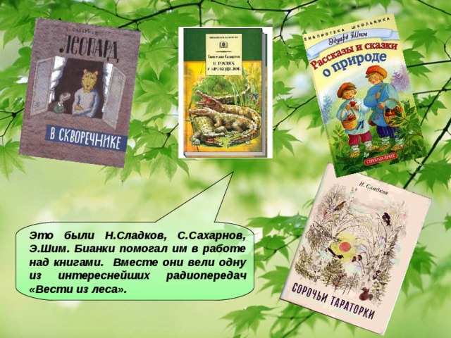 Это были Н.Сладков, С.Сахарнов, Э.Шим. Бианки помогал им в работе над книгами. Вместе они вели одну из интереснейших радиопередач «Вести из леса».