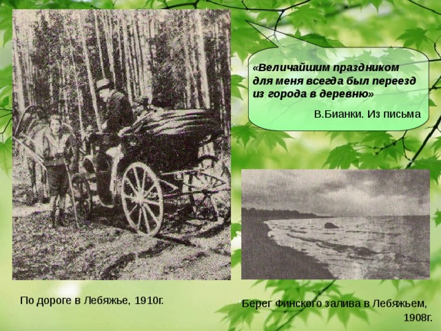 «Величайшим праздником для меня всегда был переезд из города в деревню»  В.Бианки. Из письма По дороге в Лебяжье, 1910г. Берег Финского залива в Лебяжьем,  1908г.