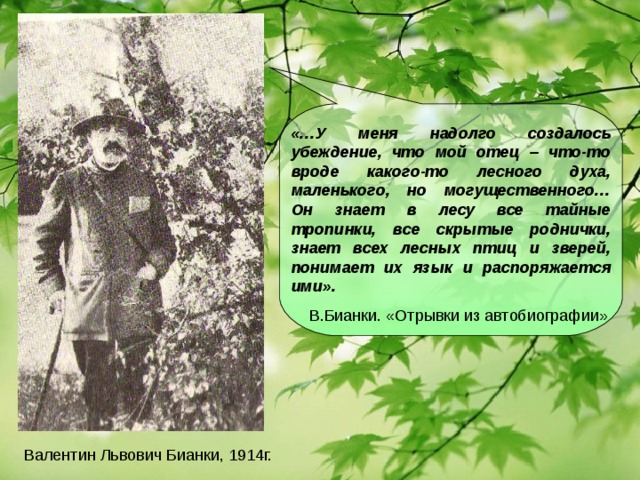 «…У меня надолго создалось убеждение, что мой отец – что-то вроде какого-то лесного духа, маленького, но могущественного… Он знает в лесу все тайные тропинки, все скрытые роднички, знает всех лесных птиц и зверей, понимает их язык и распоряжается ими».  В.Бианки. «Отрывки из автобиографии» Валентин Львович Бианки, 1914г.