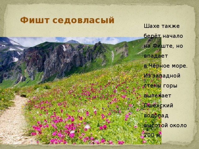 Фишт седовласый Шахе также берёт начало на Фиште, но впадает в Чёрное море. Из западной стены горы вытекает Пшехский водопад высотой около 200 м.