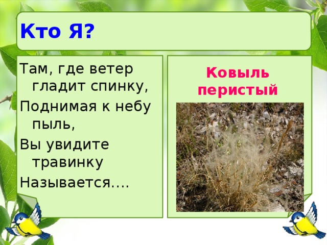 Кто Я? Там, где ветер гладит спинку, Поднимая к небу пыль, Вы увидите травинку Называется…. Ковыль перистый