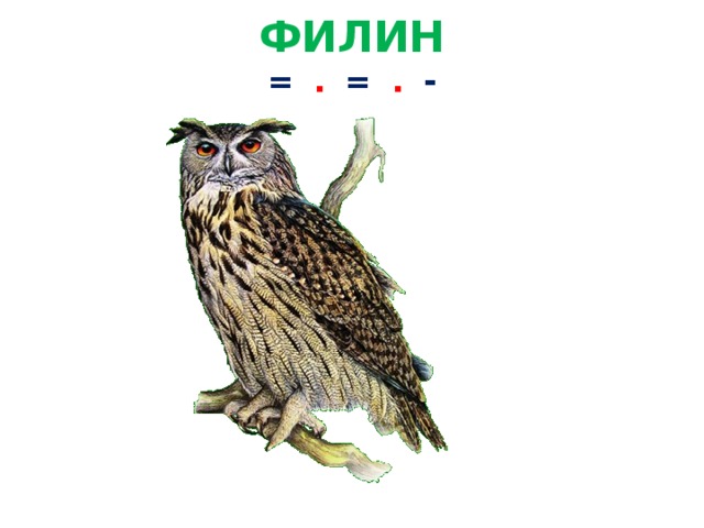 ФИЛИН  =  .  =  .  -