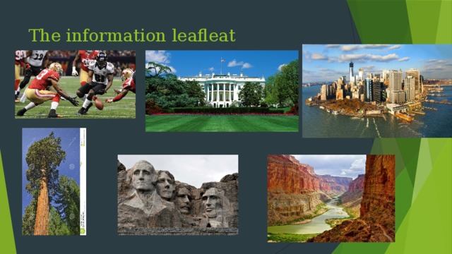The information leafleat