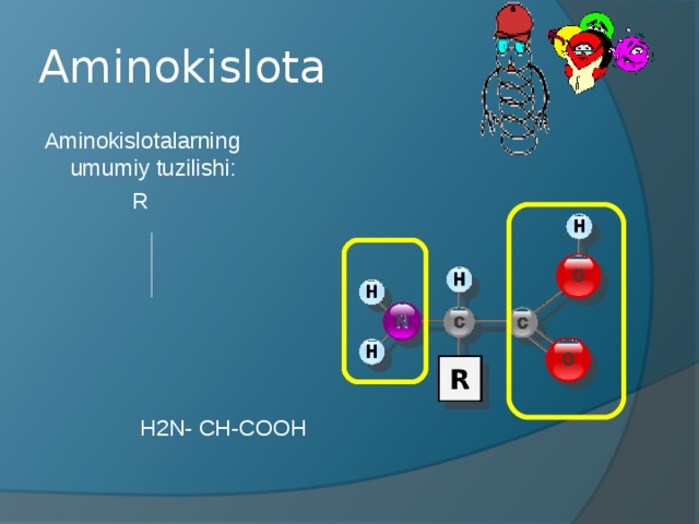 Aminokislota Aminokislotalarning umumiy tuzilishi :  R  H 2 N- CH-COOH