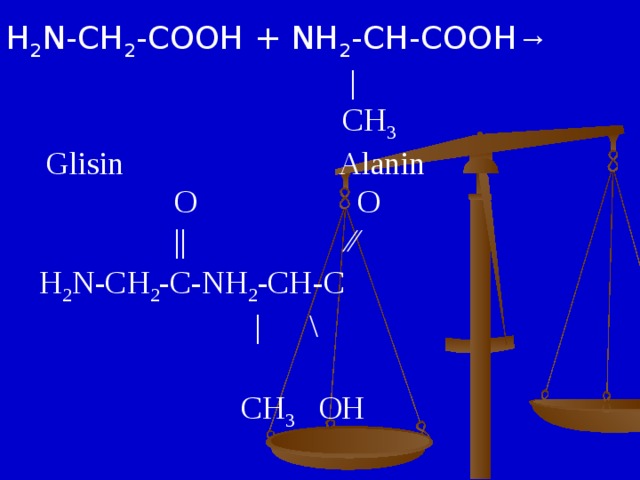 H 2 N-CH 2 -COOH + NH 2 -CH-COOH →  |  CH 3  Glisin Alanin  O O  || ∕∕   H 2 N-CH 2 -C-NH 2 -CH-C  | \    CH 3 OH   Dipeptid (Glisin-Alanin)