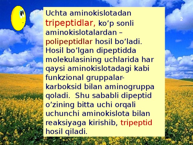 Uchta aminokislotadan tripeptidlar, ko’p sonli aminokislotalardan – polipeptidlar hosil bo’ladi. Hosil bo’lgan dipeptidda molekulasining uchlarida har qaysi aminokislotadagi kabi funkzional gruppalar- karboksid bilan aminogruppa qoladi. Shu sababli dipeptid o’zining bitta uchi orqali uchunchi aminokislota bilan reaksiyaga kirishib, tripeptid hosil qiladi. 2