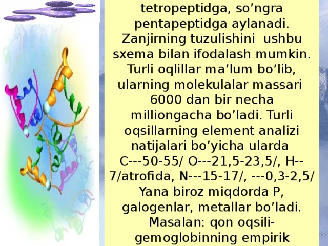 Xuddi shu yol bilan tetropeptidga, so’ngra pentapeptidga aylanadi. Zanjirning tuzulishini ushbu sxema bilan ifodalash mumkin. Turli oqlillar ma’lum bo’lib, ularning molekulalar massari 6000 dan bir necha milliongacha bo’ladi. Turli oqsillarning element analizi natijalari bo’yicha ularda C---50-55/ O---21,5-23,5/, H--7/atrofida, N---15-17/, ---0,3-2,5/ Yana biroz miqdorda P, galogenlar, metallar bo’ladi. Masalan: qon oqsili- gemoglobinning empirik formulasi (C 738 H 1166 O 208 S 2 Fe) 4