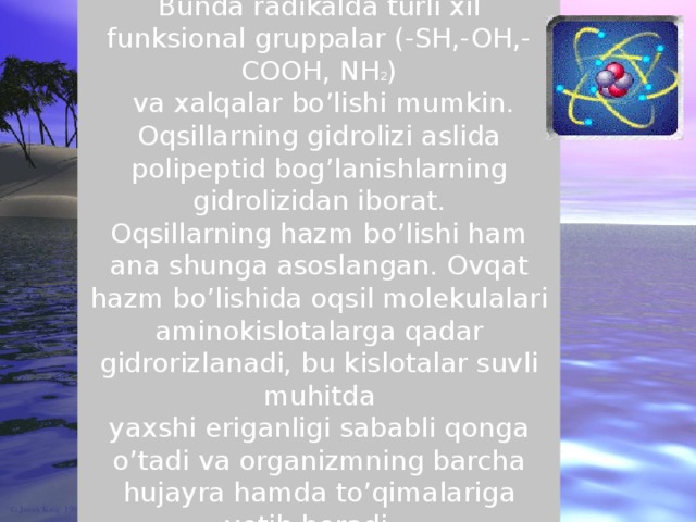 Bunda radikalda turli xil funksional gruppalar (-SH,-OH,-COOH, NH 2 )  va xalqalar bo’lishi mumkin. Oqsillarning gidrolizi aslida polipeptid bog’lanishlarning gidrolizidan iborat. Oqsillarning hazm bo’lishi ham ana shunga asoslangan. Ovqat hazm bo’lishida oqsil molekulalari aminokislotalarga qadar gidrorizlanadi, bu kislotalar suvli muhitda yaxshi eriganligi sababli qonga o’tadi va organizmning barcha hujayra hamda to’qimalariga yetib boradi.