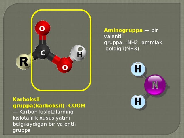 О Aminogruppa — bir valentli gruppa —NH2, ammiak  qoldig’i (NH3). С Н О Karboksil gruppa ( karboksil ) -СООН — Karbon kislotalarning kislotalilik xususiyatini belgilaydigan bir valentli gruppa