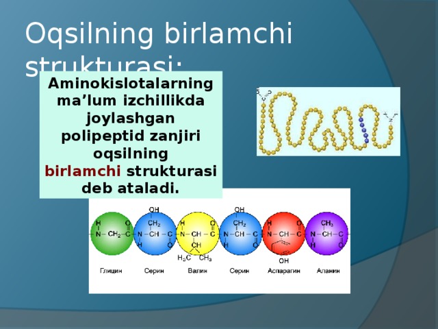 Oqsilning birlamchi strukturasi : Aminokislotalarning ma’lum izchillikda joylashgan polipeptid zanjiri oqsilning birlamchi strukturasi deb ataladi.