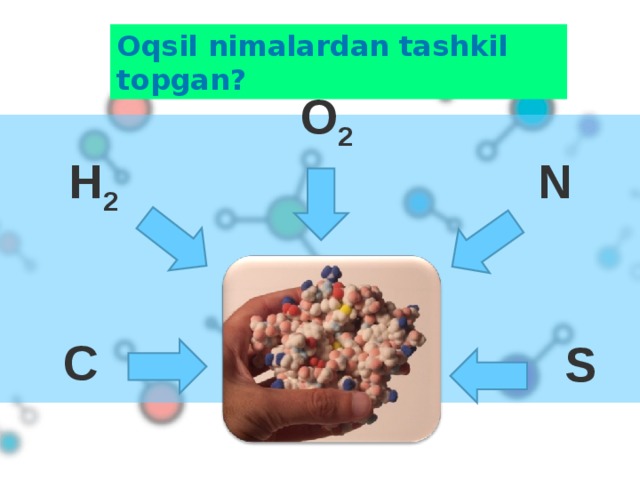 Oqsil nimalardan tashkil topgan ? O 2 N  H 2 C S