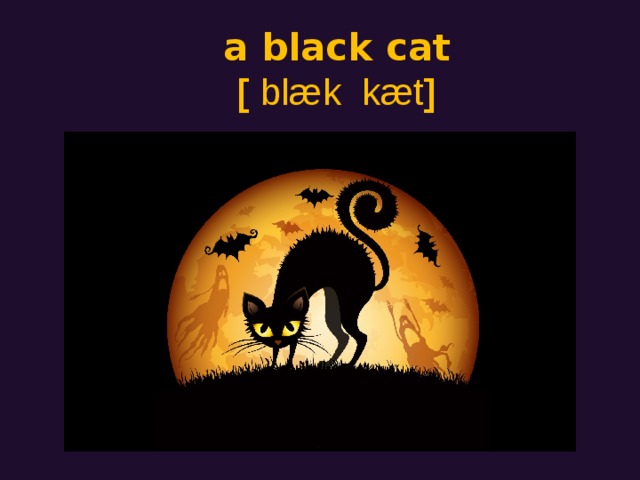 a black cat  [  blæk  kæt ]