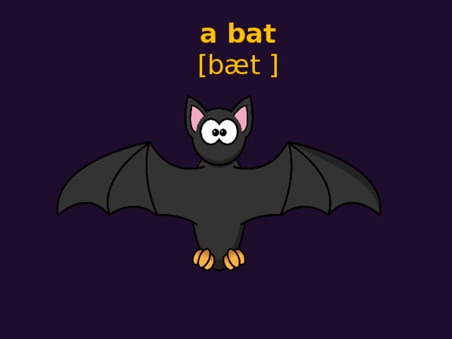 a bat  [bæt ]