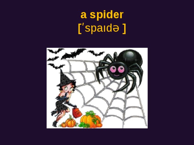 a spider  [ ʹspaıdə ]