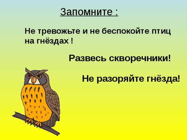 Запомните :  Не тревожьте и не беспокойте птиц на гнёздах ! Развесь скворечники! Не разоряйте гнёзда!