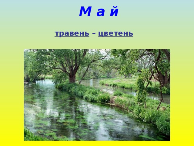 М а й  травень – цветень