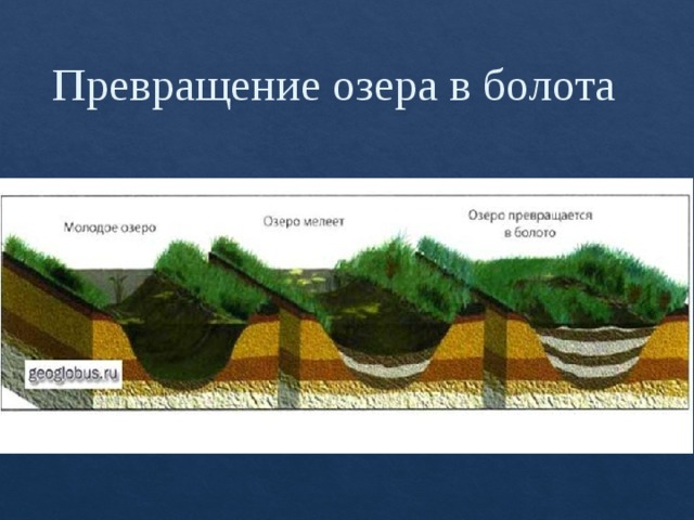 Превращение озера в болота