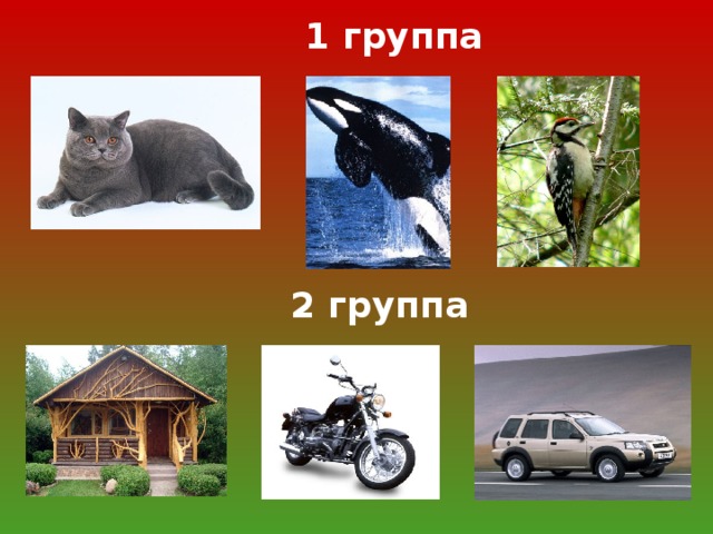 1 группа  2 группа