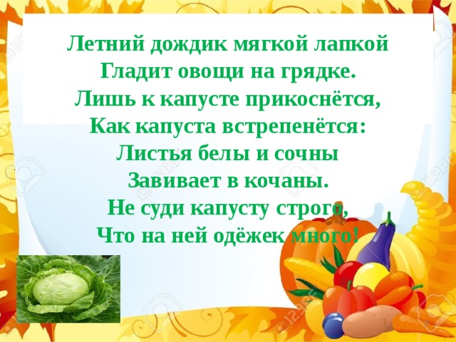 Летний дождик мягкой лапкой  Гладит овощи на грядке.  Лишь к капусте прикоснётся,  Как капуста встрепенётся:  Листья белы и сочны  Завивает в кочаны.  Не суди капусту строго,  Что на ней одёжек много!