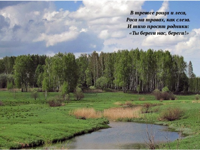 В тревоге рощи и леса,  Роса на травах, как слеза.  И тихо просят родники:  «Ты береги нас, береги!»