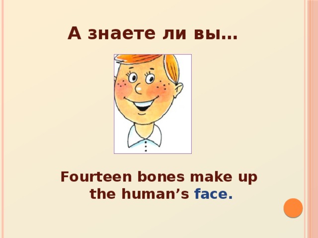 А знаете ли вы… Fourteen bones make up the human’s face.
