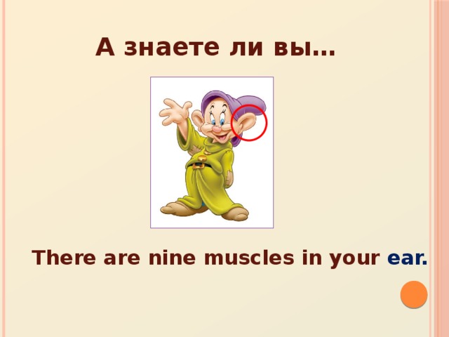 А знаете ли вы… There are nine muscles in your ear.