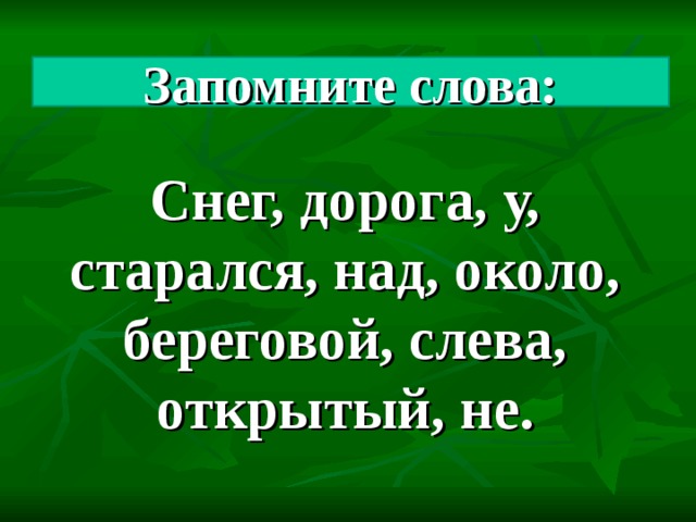 Запомните слова: Снег, дорога, у, старался, над, около, береговой, слева, открытый, не.