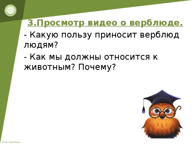 3.Просмотр видео о верблюде. - Какую пользу приносит верблюд людям? - Как мы должны относится к животным? Почему?