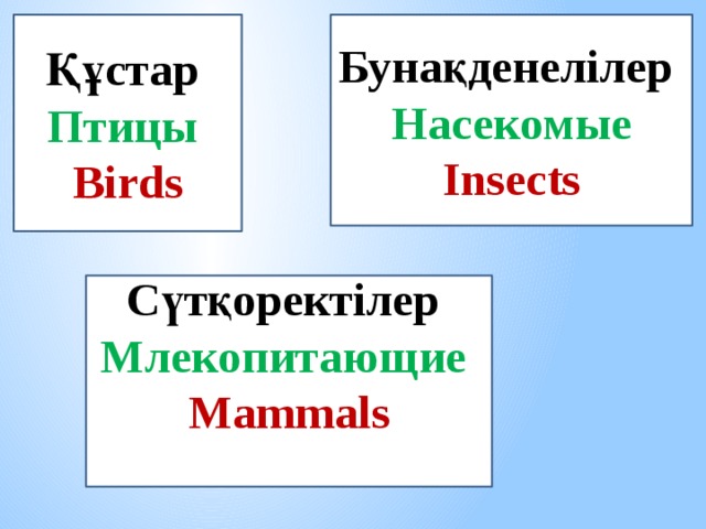 Бунақденелілер Құстар   Птицы   Насекомые  Birds Insects  Сүтқоректілер Млекопитающие Mammals