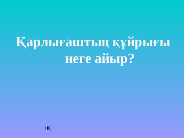 Қарлығаштың құйрығы  неге айыр? НС