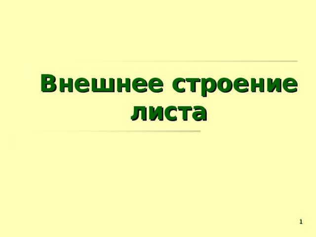 Внешнее строение листа