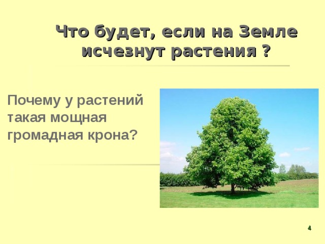 Что будет, если на Земле исчезнут растения ?  Почему у растений  такая мощная  громадная крона?