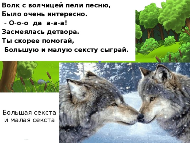 Волк с волчицей пели песню, Было очень интересно.  - О-о-о да а-а-а! Засмеялась детвора. Ты скорее помогай,  Большую и малую сексту сыграй. Большая секста и малая секста