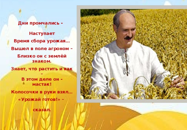 Дни промчались -  Наступает Время сбора урожая … Вышел в поле агроном – Близко он с землёй знаком. Знает, что растить и как – В этом деле он - мастак! Колосочки в руки взял … « Урожай готов! »  –   сказал .