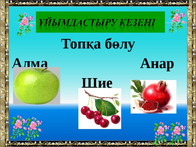 Топқа бөлу Алма Анар Шие