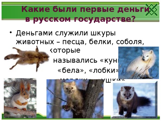 Какие были первые деньги в русском государстве? Деньгами служили шкуры животных – песца, белки, соболя, куницы, которые  назывались «куны»,  «бела», «лобки»,  «мордки», «ушки» .