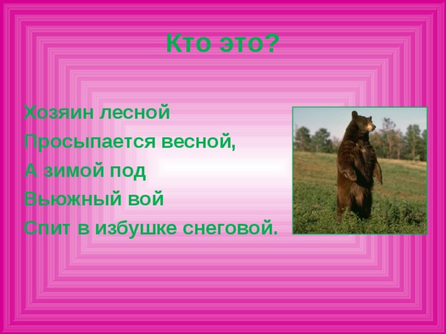 Кто это? Хозяин лесной Просыпается весной, А зимой под Вьюжный вой Спит в избушке снеговой.