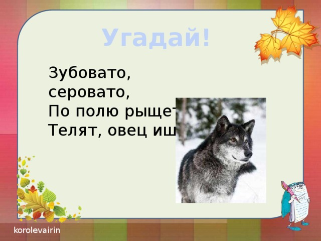 Угадай! Зубовато, серовато, По полю рыщет, Телят, овец ищет.