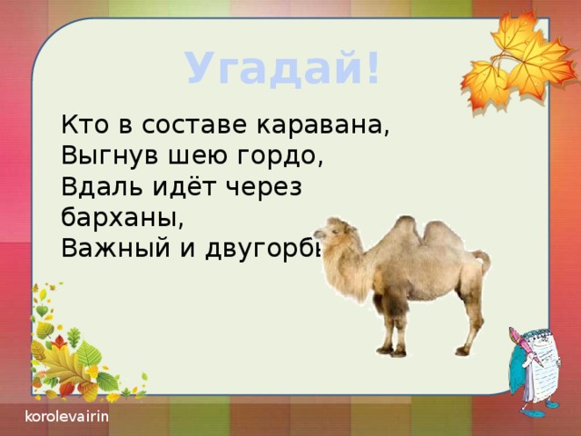 Угадай! Кто в составе каравана, Выгнув шею гордо, Вдаль идёт через барханы, Важный и двугорбый.