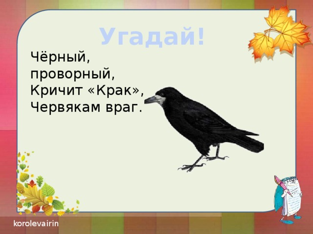 Угадай! Чёрный, проворный, Кричит «Крак», Червякам враг.