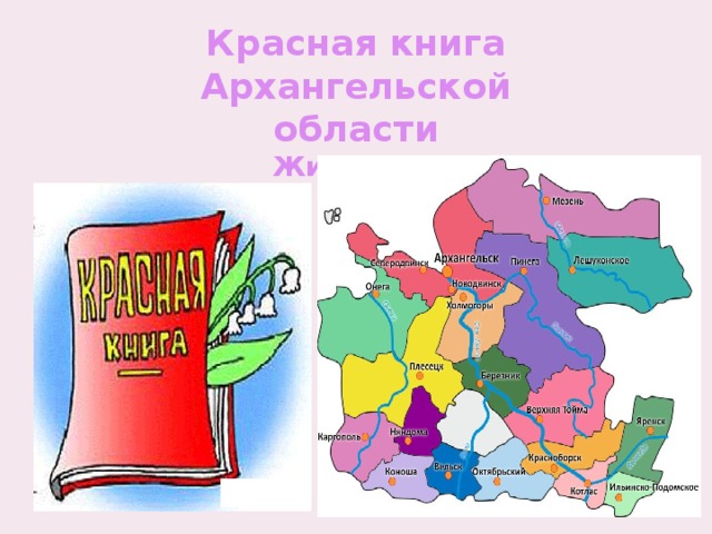 Красная книга Архангельской области Животные