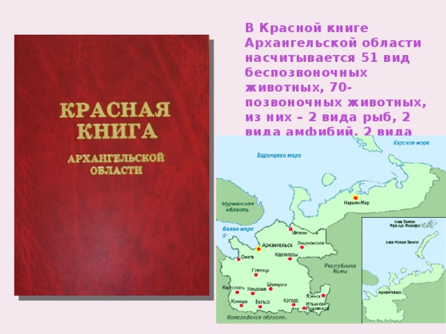 В Красной книге Архангельской области насчитывается 51 вид беспозвоночных животных, 70- позвоночных животных, из них – 2 вида рыб, 2 вида амфибий, 2 вида рептилий, 36 – птиц и 27 – млекопитающих.