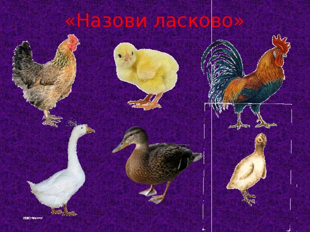 «Назови ласково»