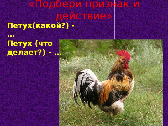 «Подбери признак и действие» Петух(какой?) - … Петух (что делает?) - …