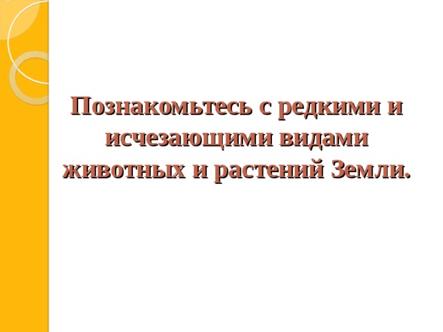 Познакомьтесь с редкими и исчезающими видами животных и растений Земли.