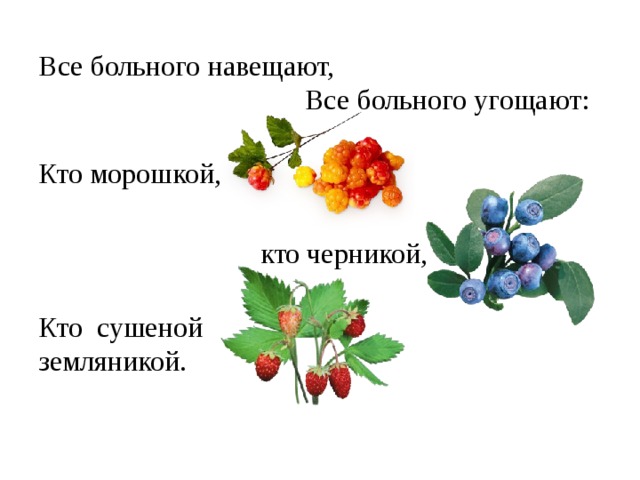 Все больного навещают,  Все больного угощают:   Кто морошкой,  кто черникой,   Кто сушеной земляникой.