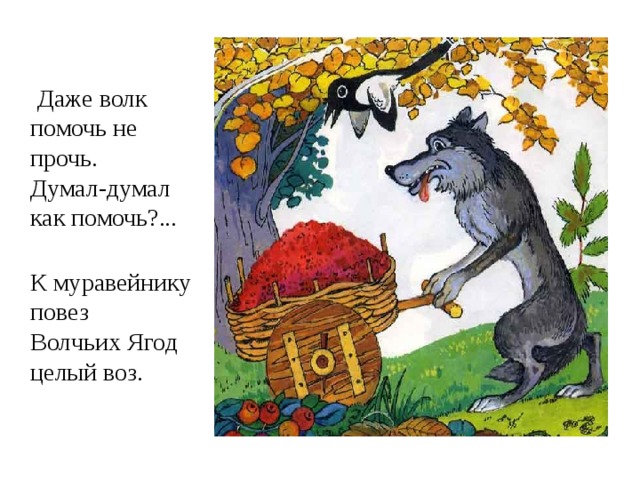 Даже волк помочь не прочь.  Думал-думал как помочь?...   К муравейнику повез  Волчьих Ягод целый воз.